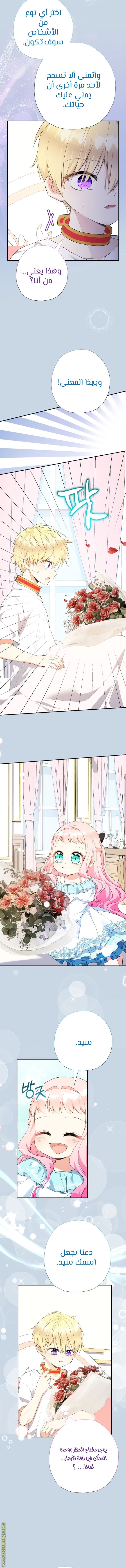 Surviving a Shoujo With Coins - 67