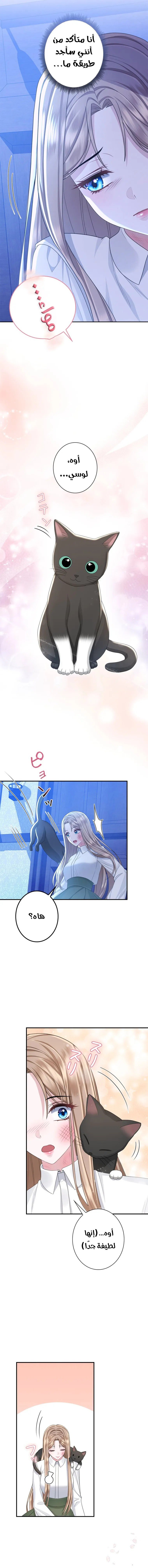 When Cinderella’s Magic Fades Away - 16