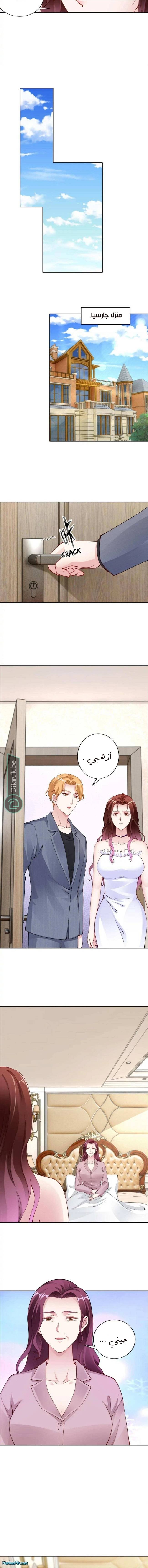 Ms social butterfly - 35