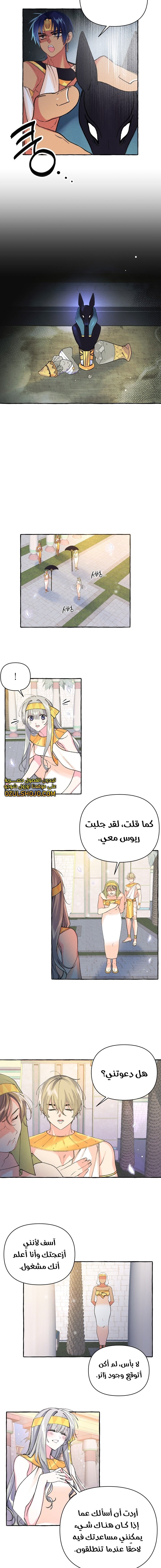 Acacia - 7