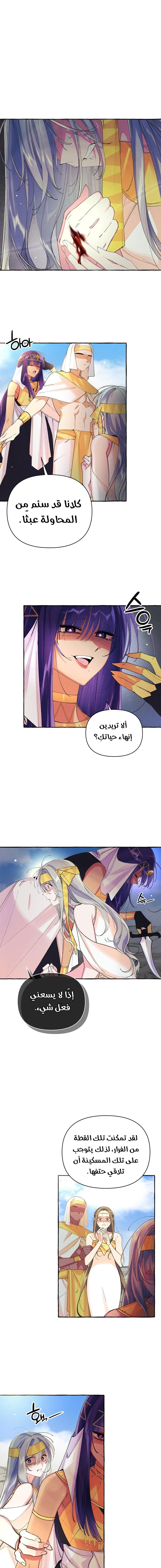 Acacia - 6
