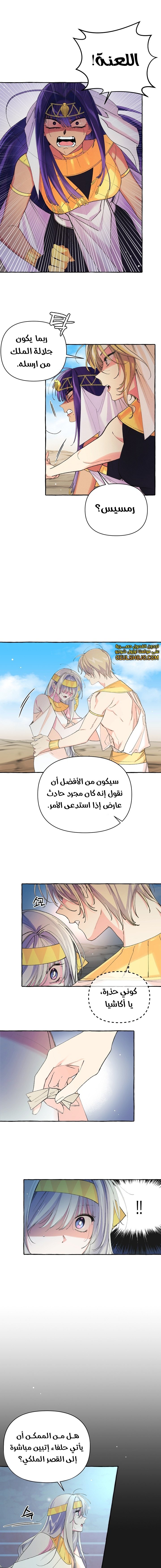 Acacia - 6
