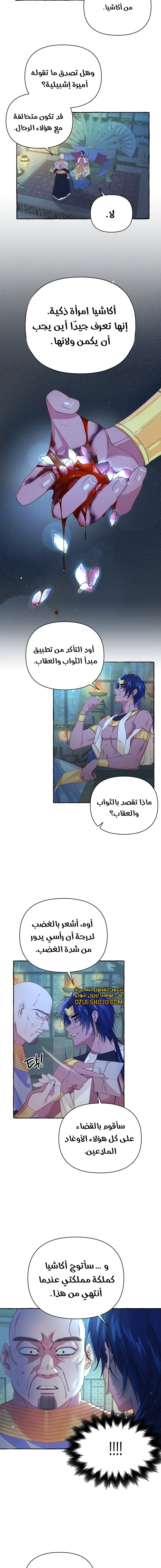 Acacia - 6