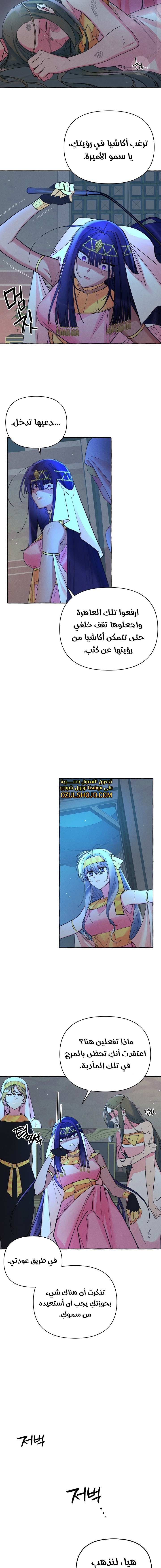 Acacia - 5