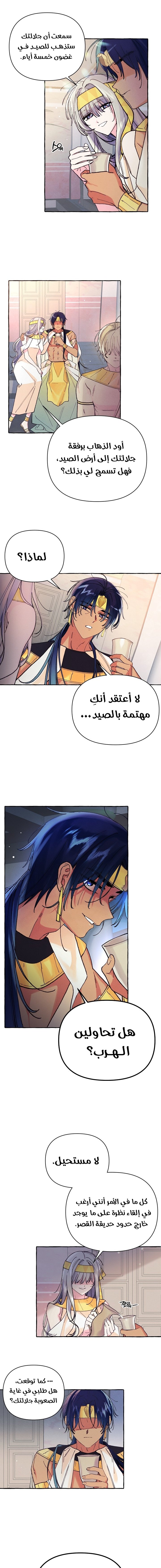 Acacia - 5