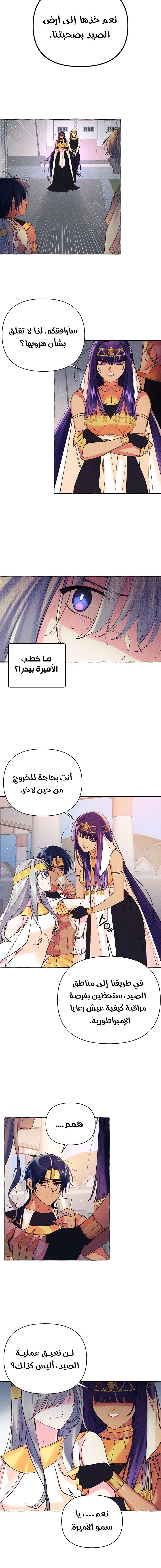 Acacia - 5