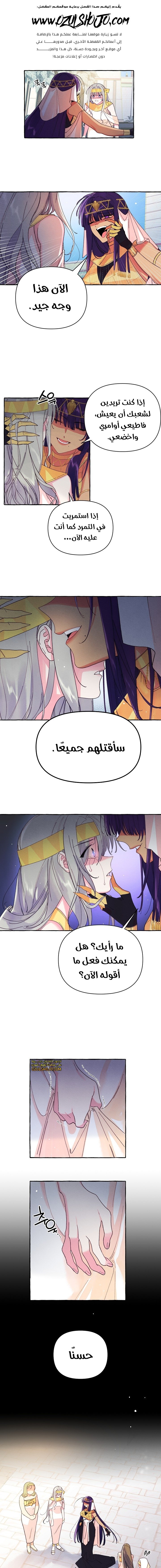 Acacia - 3