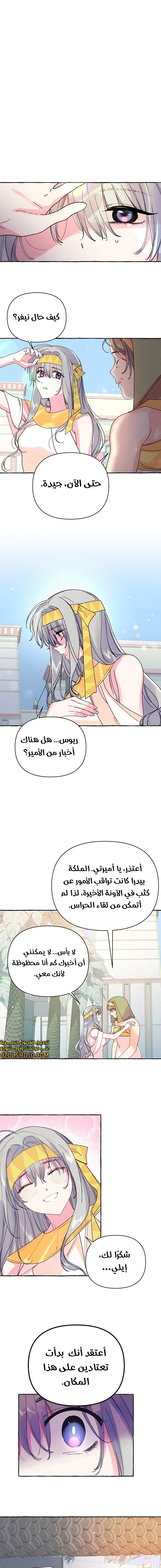 Acacia - 3