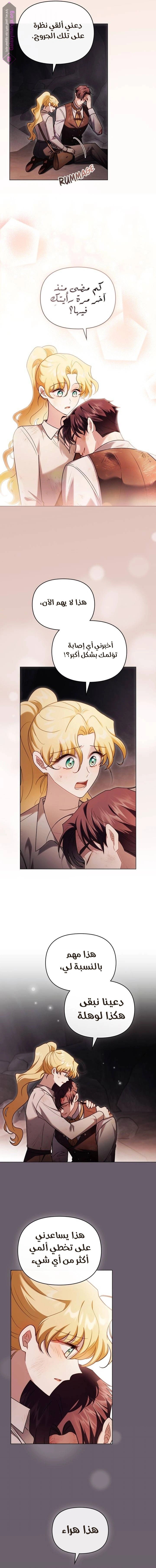 finding camellia - 120